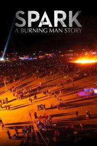 火人节的故事,燃烧的信仰与狂欢的奇迹